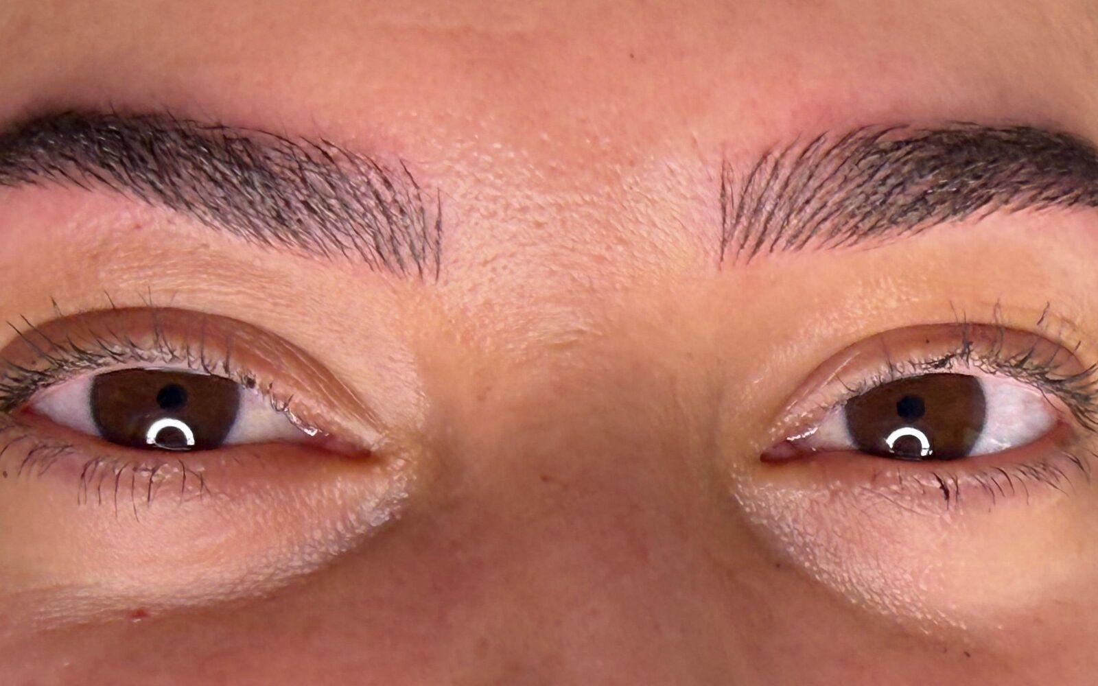 Sourcils après microblading